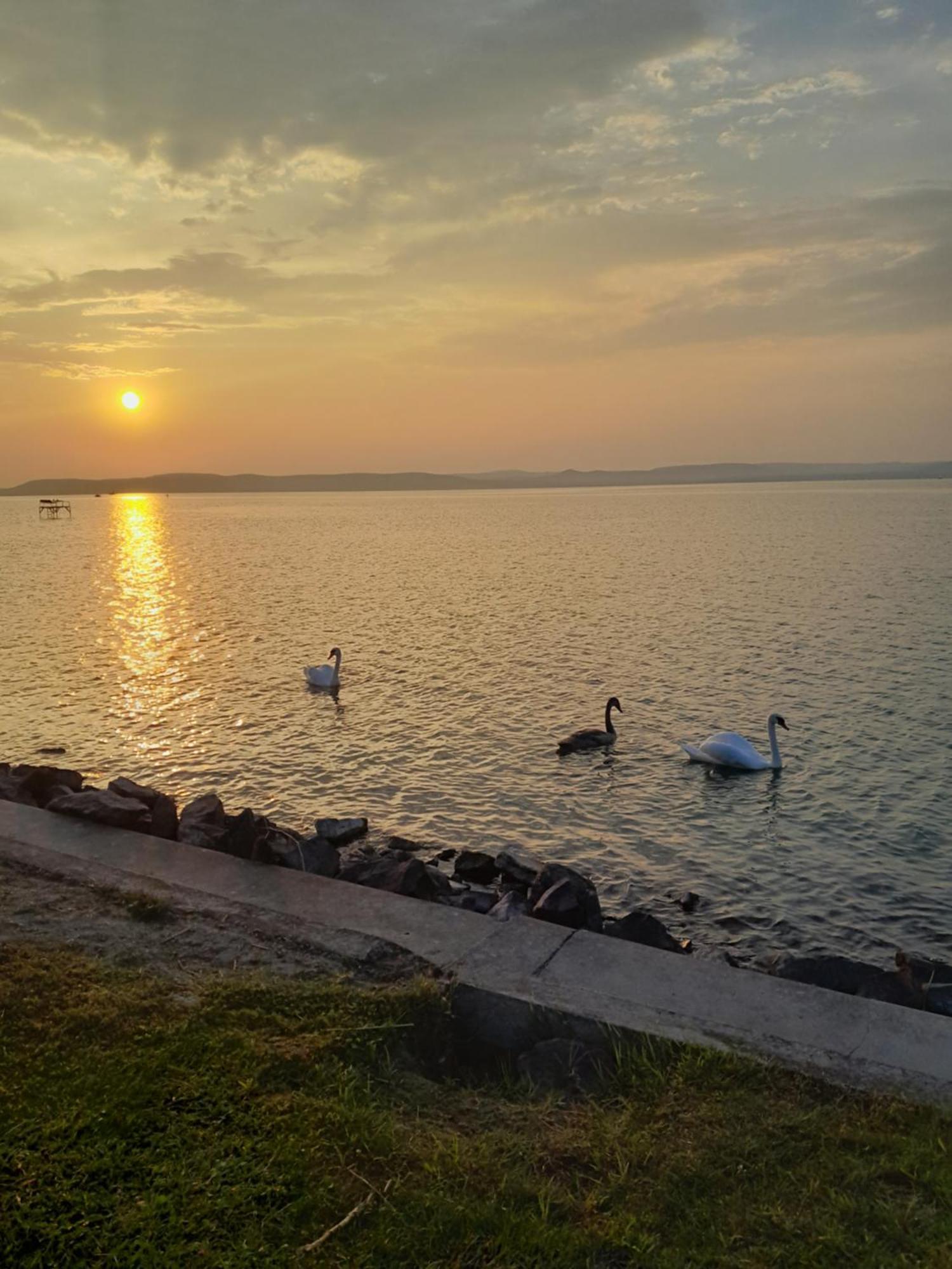 Traumlage Direkt Am See Balatonszárszó 외부 사진