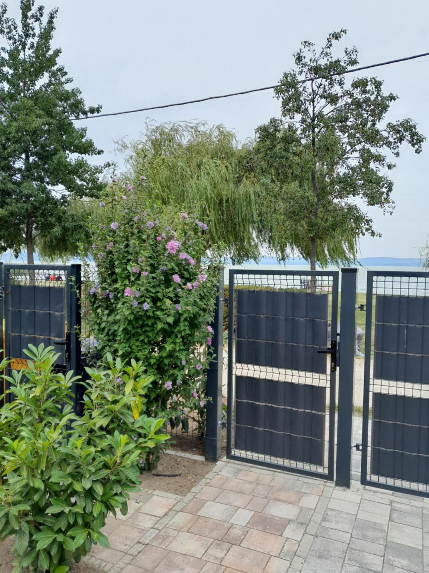 Traumlage Direkt Am See Balatonszárszó 외부 사진